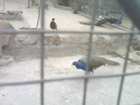 禅院之行——安山寺