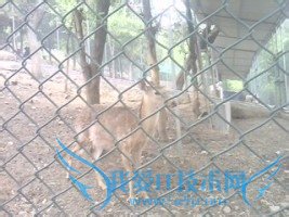 禅院之行——安山寺