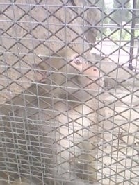 禅院之行——安山寺