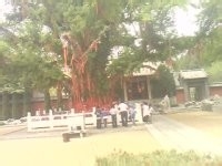 禅院之行——安山寺