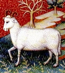 西洋占星术入门-黄道十二宫的具体分法和相关