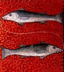 西洋占星术入门-黄道十二宫的具体分法和相关