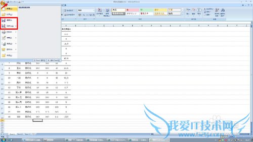 excel2007ĵ뱣