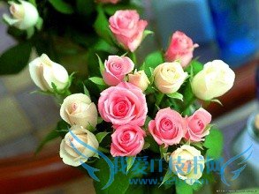 与女孩约会赴宴进餐礼仪