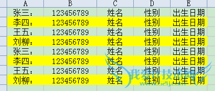 excle中隔行填充颜色