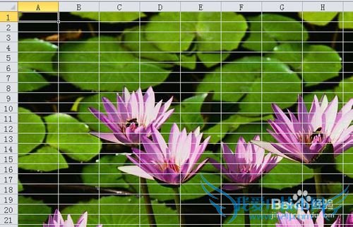 excel表格怎么添加/删除背景图