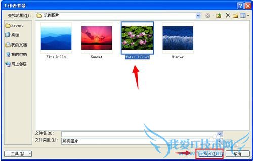 excel表格怎么添加/删除背景图