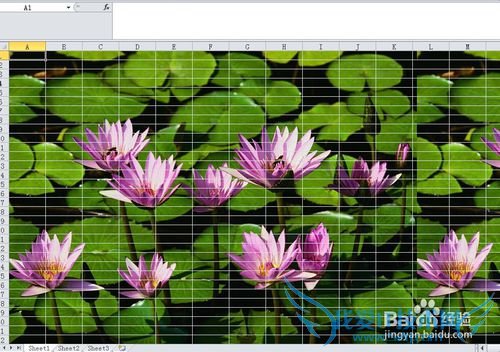 excel表格怎么添加/删除背景图