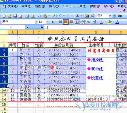 excel行高列宽快捷设置
