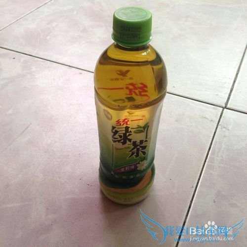 背包客观音湖冬季游玩攻略