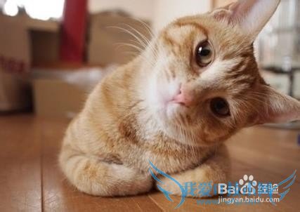 怎样过三八妇女节(大学生)