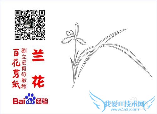 百花剪纸教程 兰花1(阳剪)刘立宏一剪刀剪纸