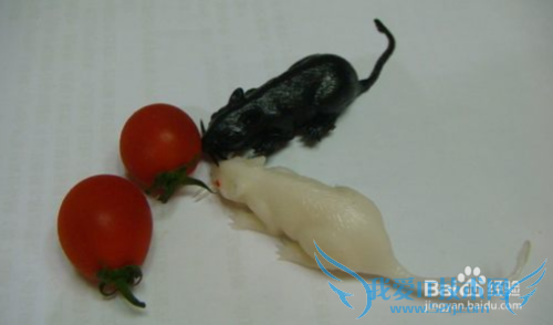 愚人节玩笑攻略