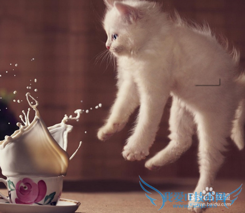 愚人节玩笑攻略