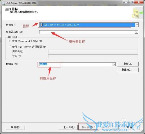 SQL Server 2008ʹexcel
