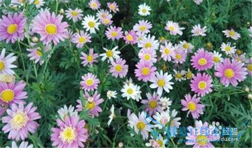 五一带你去这些地方看看!