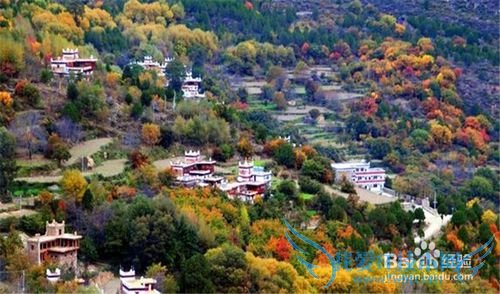 五一带你去这些地方看看!