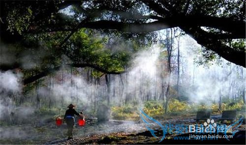 五一带你去这些地方看看!