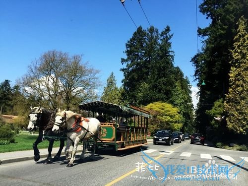 温哥华史丹利公园复活节小火车