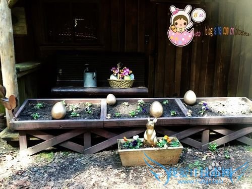 温哥华史丹利公园复活节小火车