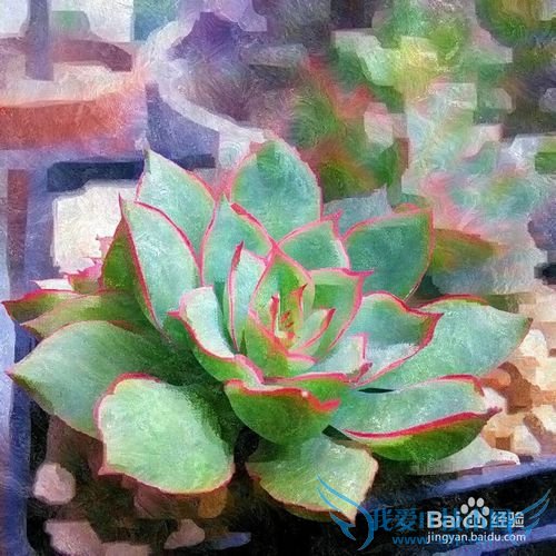 终极油彩效果,打造浪漫圣诞节