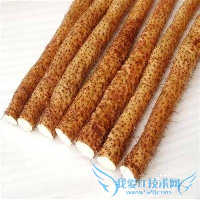 每逢佳节胖三斤之后的有效刮油