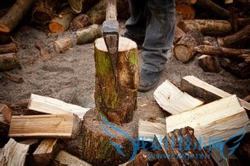 大年初一必须知道的15条禁忌!