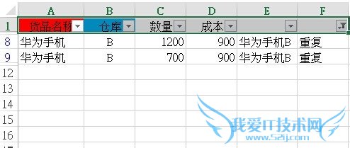 EXCEL Ӧʵ[8]ɸѡͬ