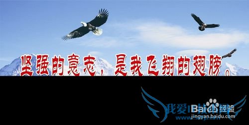 失败是坟墓,而成功是喜悦的开始!