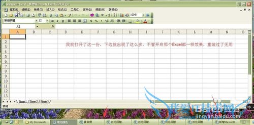 打开Excel会自动开启多个Excel表格