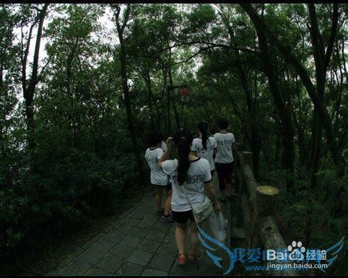 元旦我们怎么过?