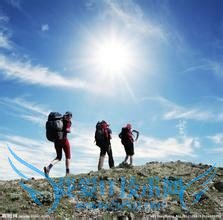 元旦我们怎么过?