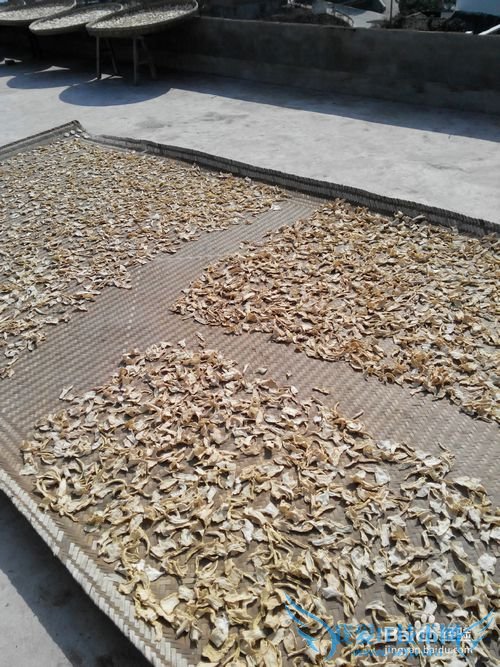 我的2015年大年30