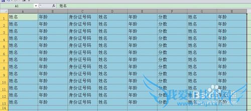 如何快速调整EXCEL行高与列宽