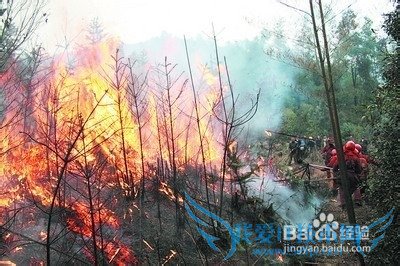 ¹ýÄêÔ¶Àë±ÞÅÚΣÏÕµØÇø