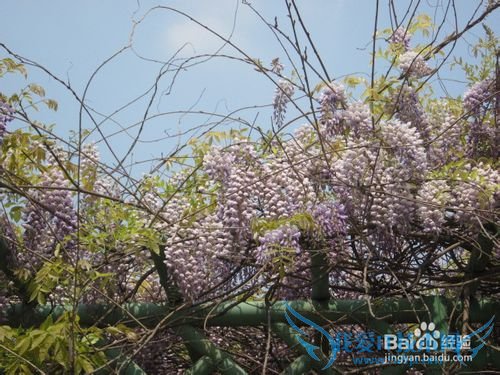 如何使自己快乐起来(一)