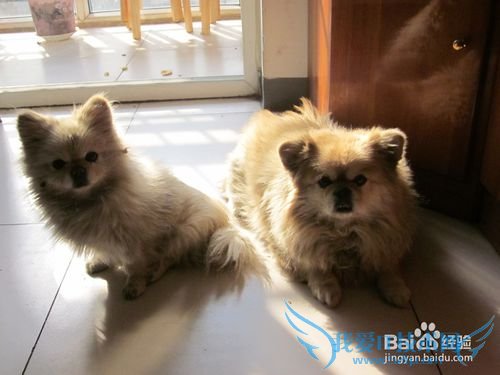 如何使自己快乐起来(一)