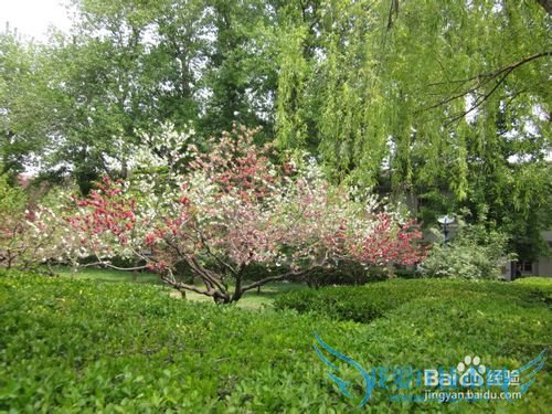 如何使自己快乐起来(一)