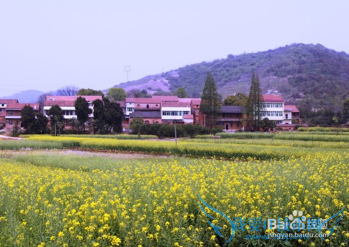 如何用好清明节?清明节时间怎么安排好?