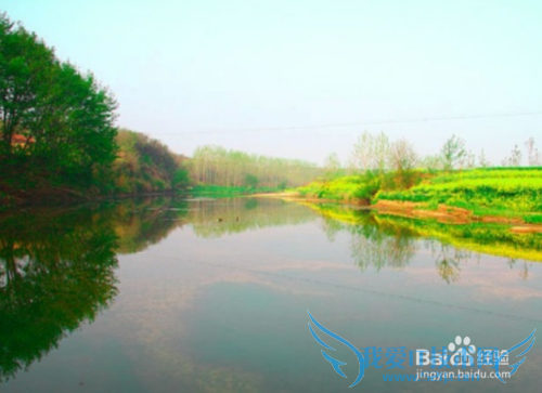 如何用好清明节?清明节时间怎么安排好?