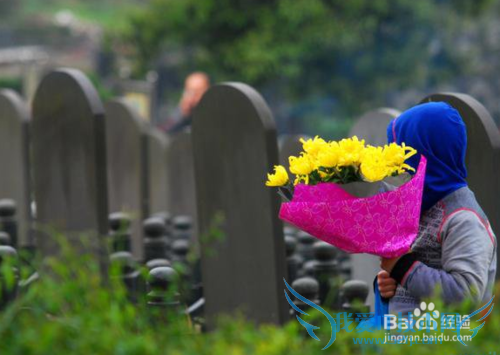 如何用好清明节?清明节时间怎么安排好?