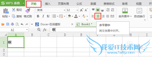 怎样让WPS表格/Excel中的文字水平和垂直居中