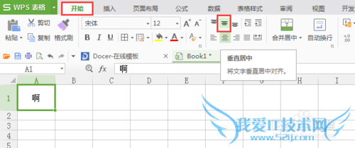 怎样让WPS表格/Excel中的文字水平和垂直居中