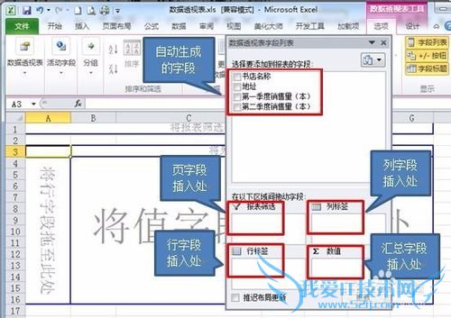Excel2010数据透视表与透视图使用技巧