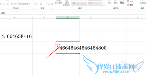 excel2013֤͵绰ȫʾ
