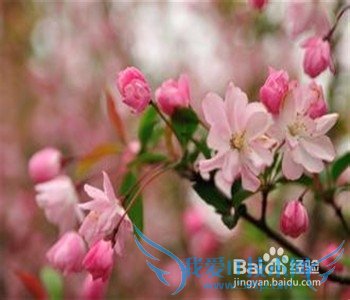 快乐其实很简单