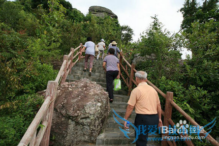 九月九重阳节的常见习俗