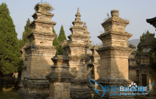 ÖØÑô½Ú¸÷Ê¡ÊеØÏ°Ë× ÖØÑô½ÚÓ¦¸Ã×öʲô