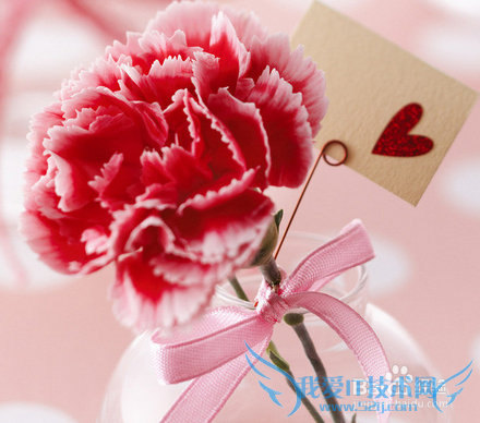 教师节送什么花最合适?