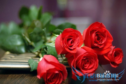 如何让女友过一个难忘的圣诞节